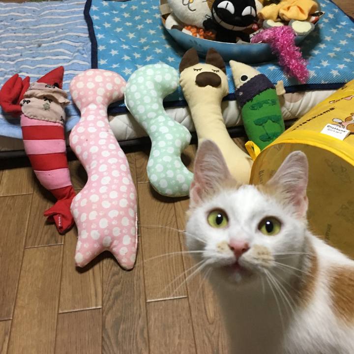 D7d10df0 51c9 4537 96da 360b3d43f44f