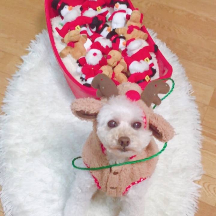 D7d1df28 53ca 44fb 81ee 54cfc134d7d0