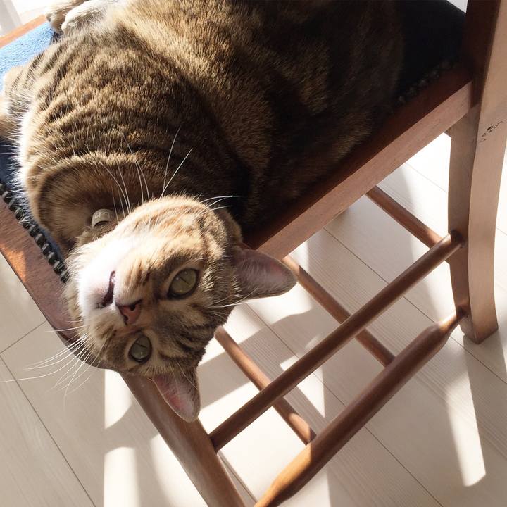 D7d24010 af5b 4a89 94d2 bc6affd26bc6