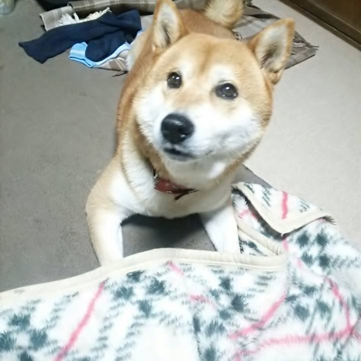 D7d336d6 01b5 4f24 b9e8 525fe800783f