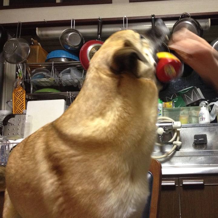 D7d3a87c 4c55 4714 a154 b27e1b685c86