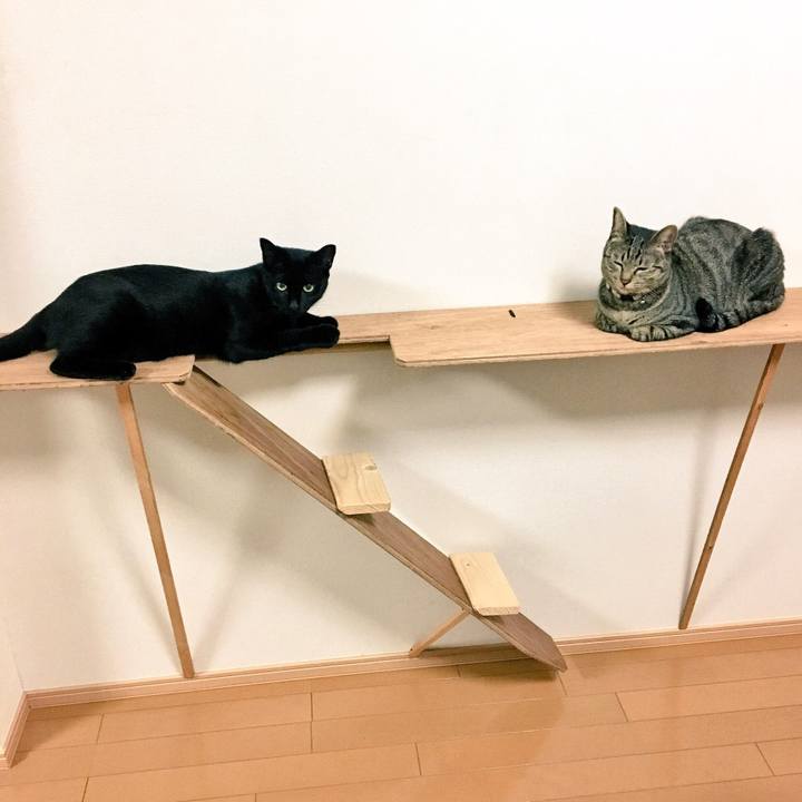 D7d3ed78 769b 4f36 be32 c69258a664ef