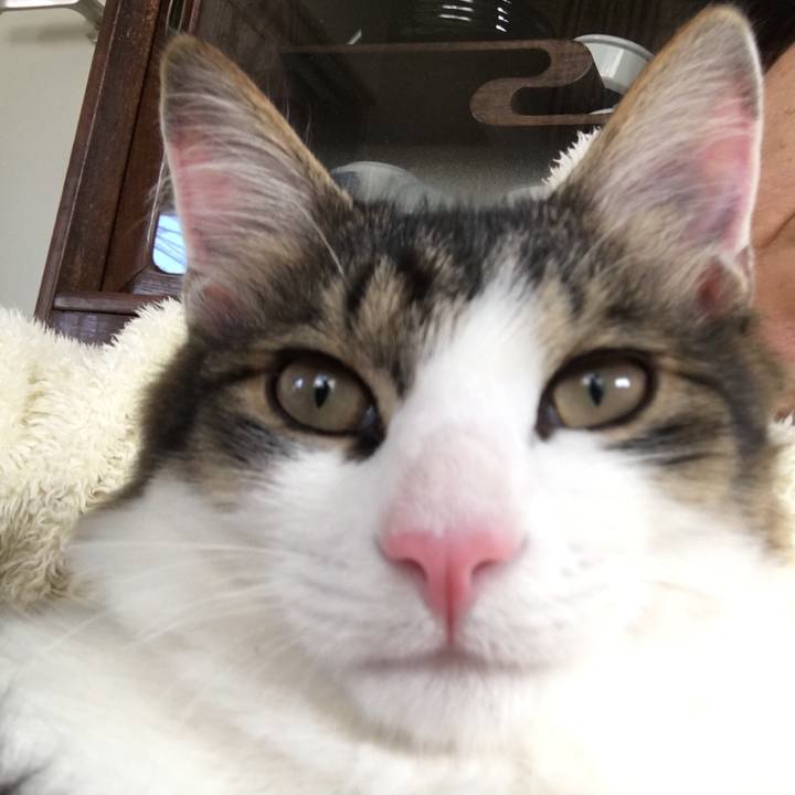 D7d42ad1 d036 4689 9136 11c77098a2e4