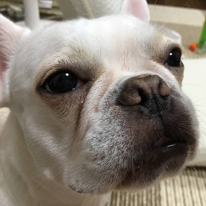 D7d43f11 e276 4935 b558 9e07661d2e02