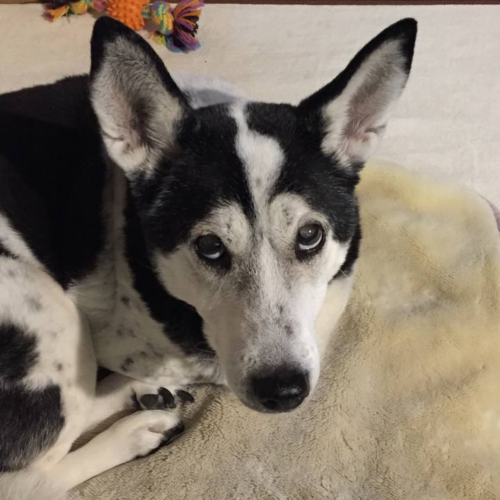 D7d46140 434f 4121 b7e0 c76722e733ba