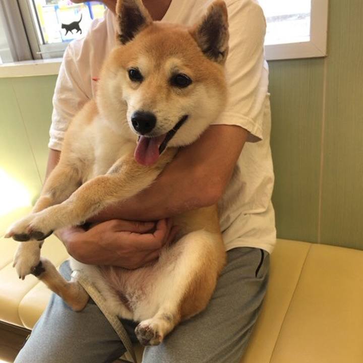 D7d5692d 9969 4f0c b024 1b721478826d