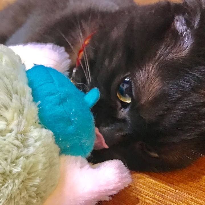 D7d667c8 0f90 4e50 9dd4 1a91842e12e9