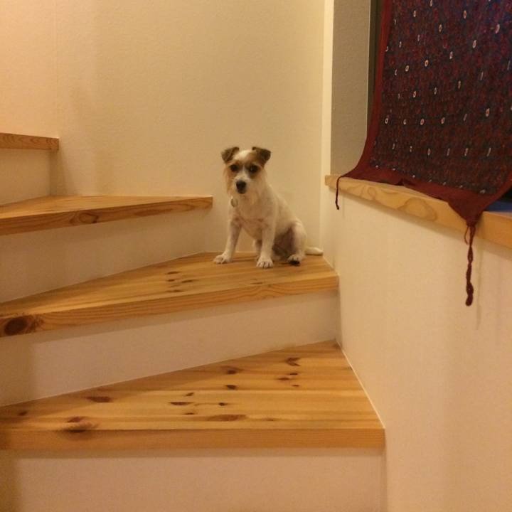 D7d6a89a 3d70 441b 9bcf b952f1146824