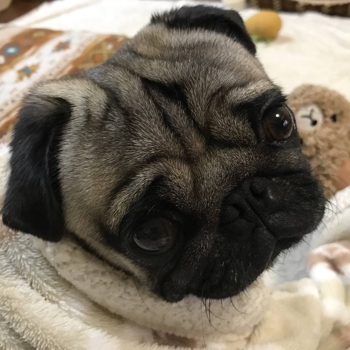 D7d6c8e7 1ea0 4846 818a 1a51a6df3649