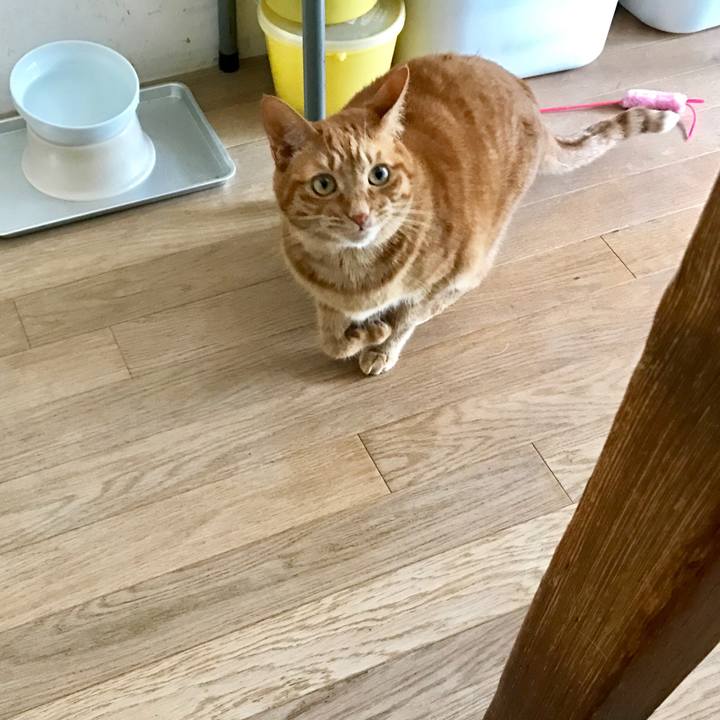 D7d74010 31a0 4dfa 890b e820ade57a44