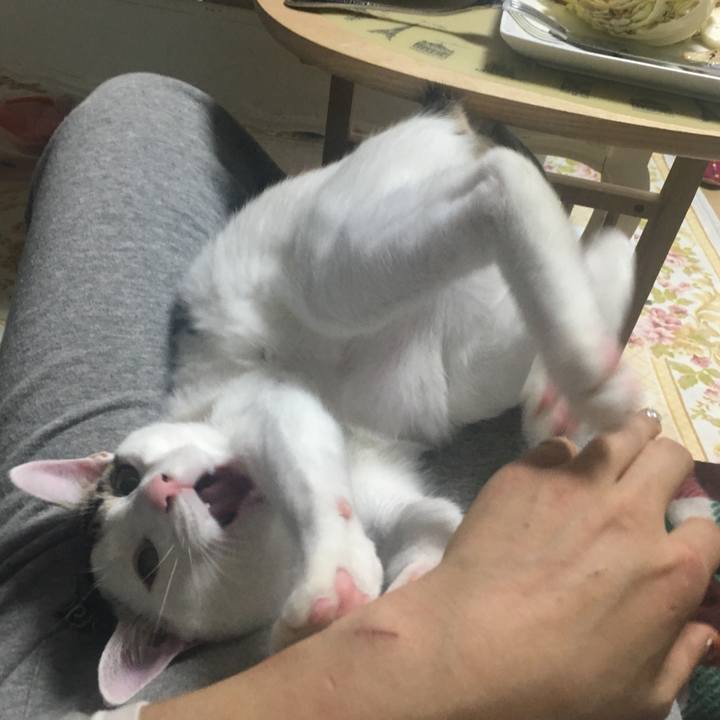 D7d77665 5acd 445d 84d3 4efb1bb5a5ae