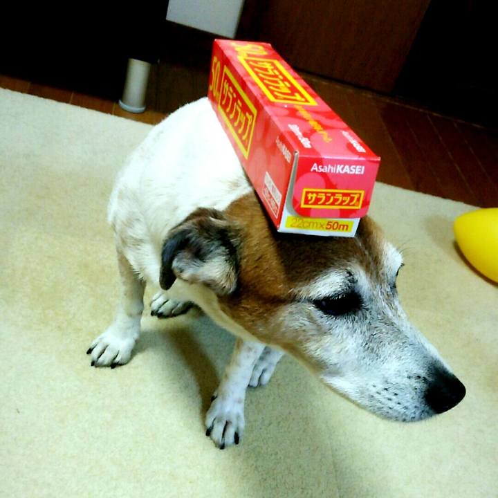 D7d786cc fbe3 4639 a482 c34fc0ac8000