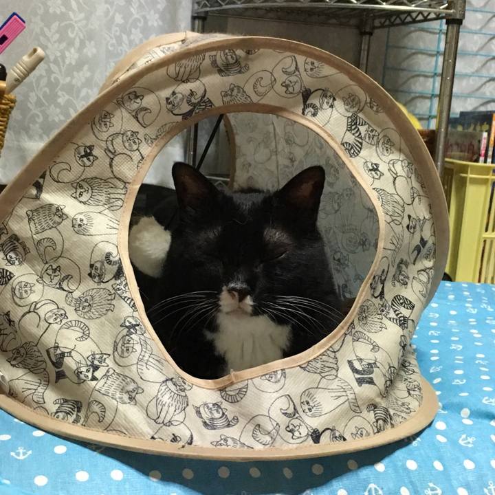 D7d79095 4aad 4536 b018 ea9245f7497c