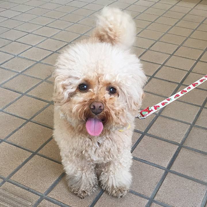 D7d79adb e122 4041 9559 cf38d420d9b5