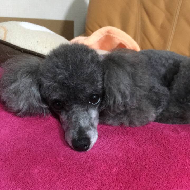 D7d7e806 bdca 430e ac26 7b84cdb420a8