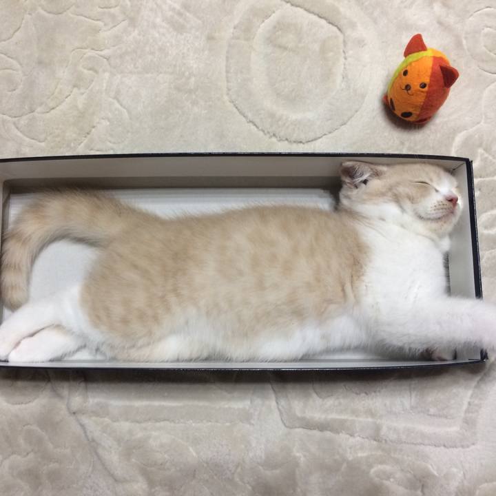 D7d7e8ad b7ff 4493 9a5f 4de7dd676972