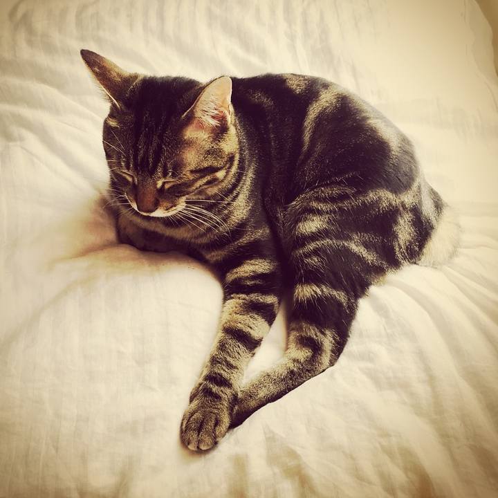 D7d83053 3165 4554 b73e 4fe3191f55fe