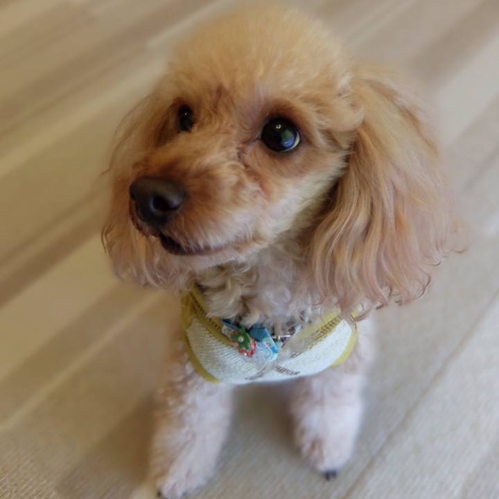 D7d88cb8 f6b3 49c8 85d6 1c851b44690f