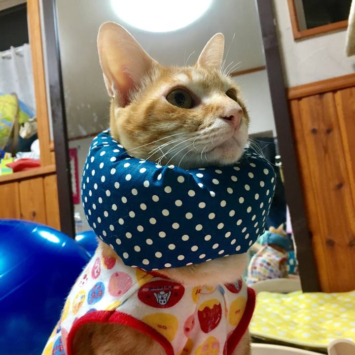 D7d94e73 9d4e 4b4d b9cd 4ed5b6d58c1b