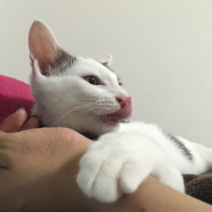 D7d9ff87 a848 469b b950 643f0d63173b