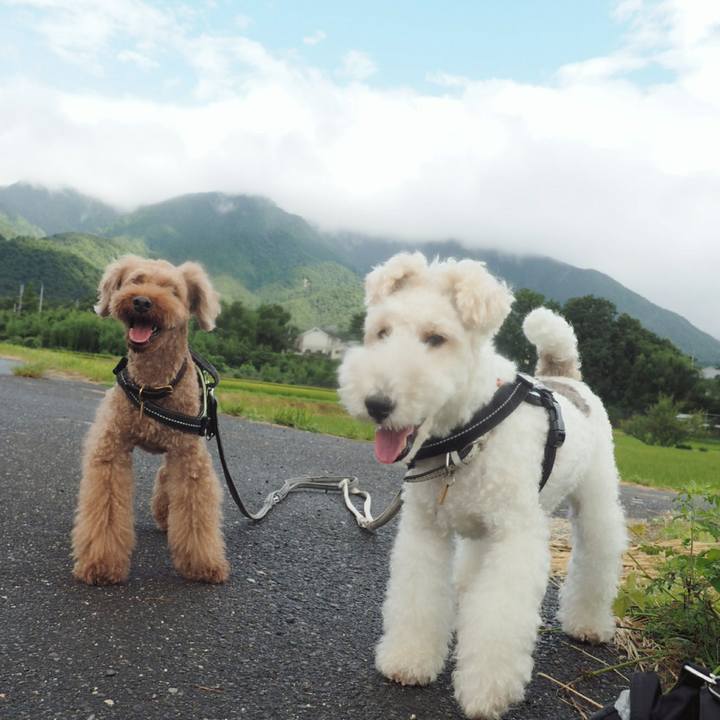 D7da35db 4c14 41c2 8de4 9016f3083e50