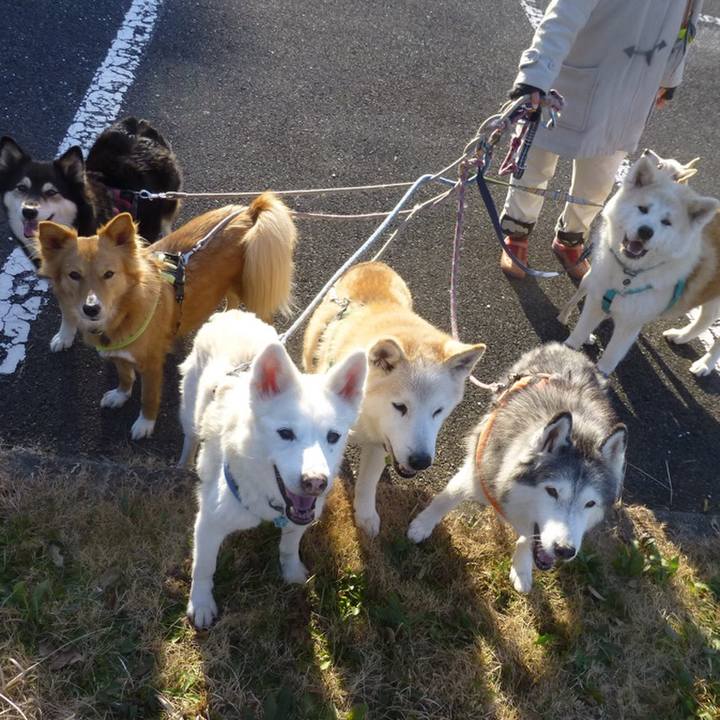 D7da5eea 43b3 4cc6 a6a7 351995e483ae