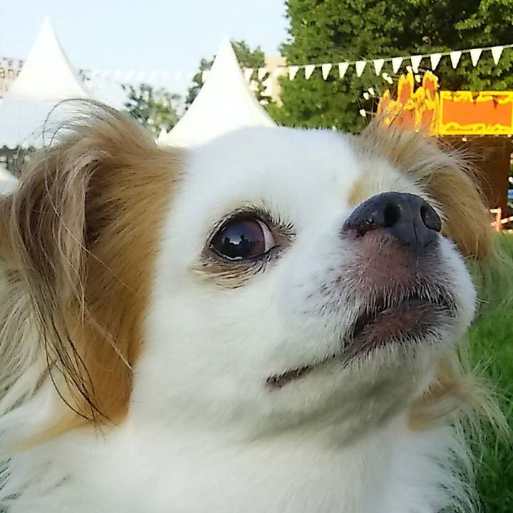 D7dab6a2 cd3a 41bf b106 fc01f3696687