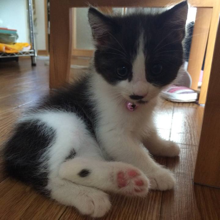 D7db2836 bd7b 4602 a6fa d2e2d393ae6f