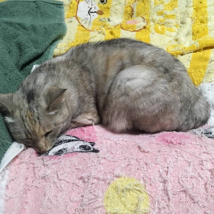 D7db6018 fc30 4a16 bcfd 0faad42e64b9