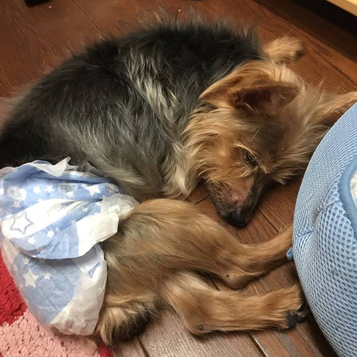 D7dba2d4 a584 4f1d a4b5 aee75f93914e