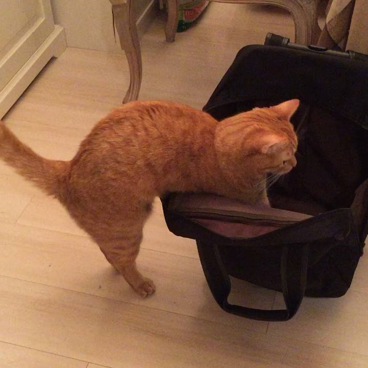 D7dc0a32 6b99 4682 a939 64b7ed8e415d