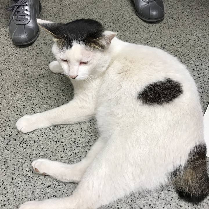 D7dca623 20f1 4cc7 816c 41f6d80720f1