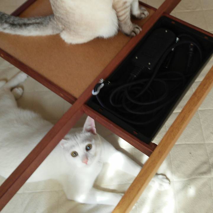 D7dcf87d 938b 4627 bfa3 1a0b5c9ff671