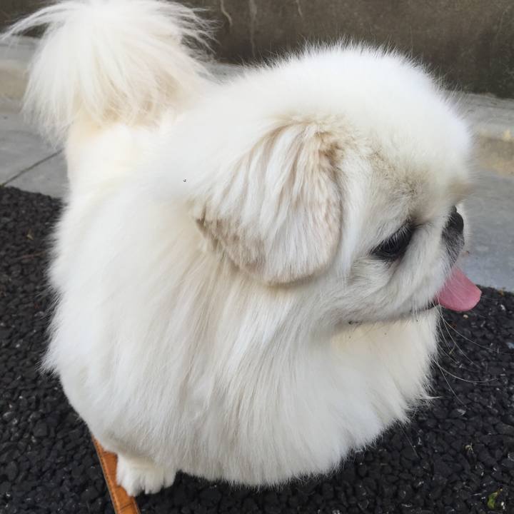 D7dd87c3 3dc9 44b0 b4cf 142fab5ef4d0