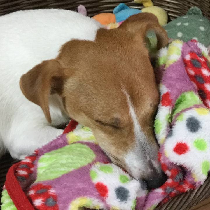 D7ddc77e ec0a 4adc a4cd f046c45fab8a