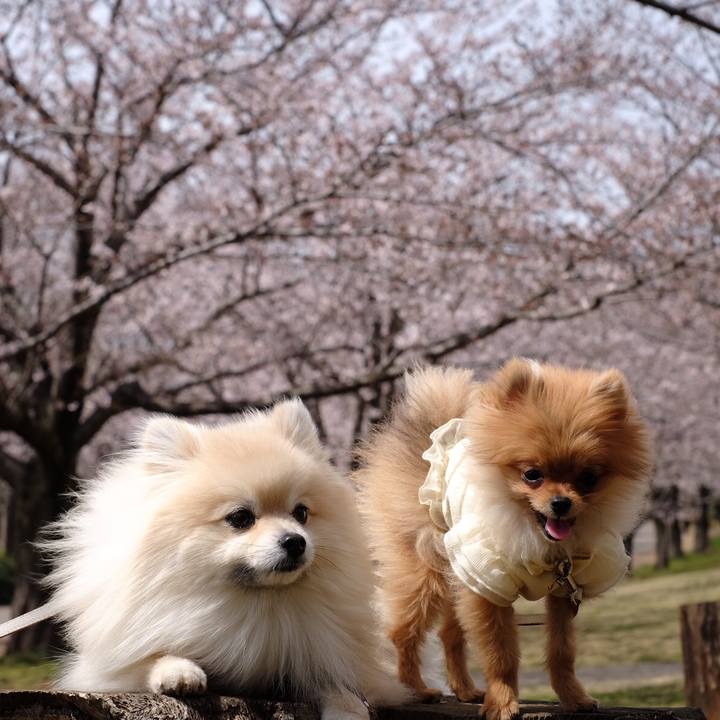 D7ddc9fc 1ddb 497a 8af7 6d9ad9a14e10