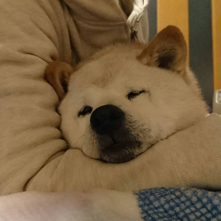 D7de398a e53b 41e2 8f6a e11dde8903f1