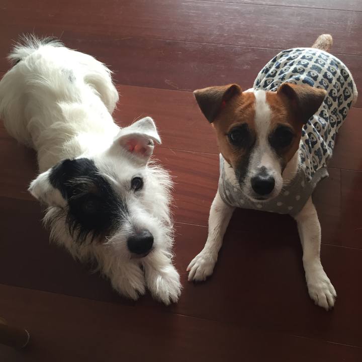 D7dea716 47d0 4577 9edf 1f557cf9bbaf