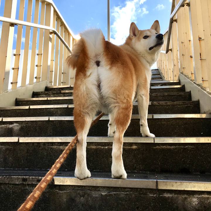 D7deb482 4a23 4031 b48f 7e6e16b0d295