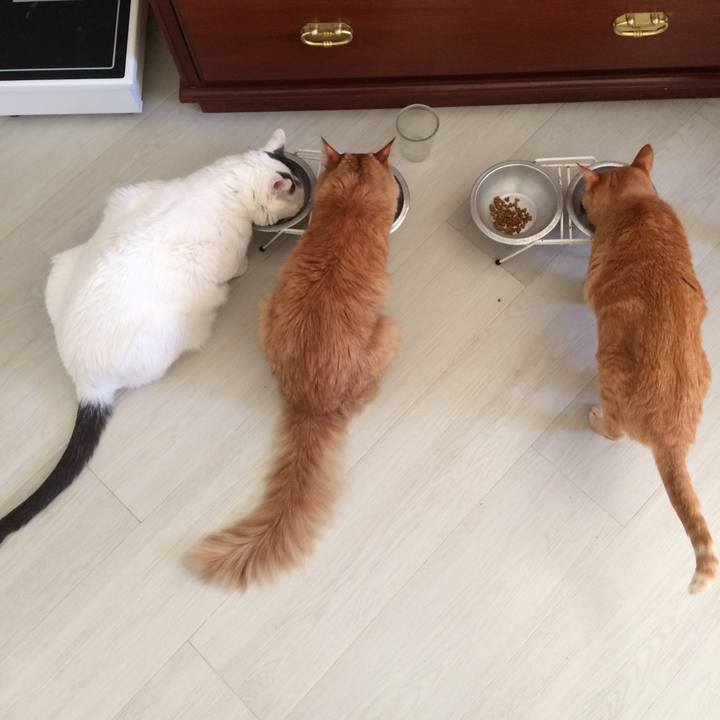 D7debdc1 cabf 4fbd 811b 40f527bd6db3