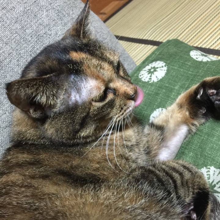 D7deccdb f94e 4ea7 bcd8 30eeb3501f47