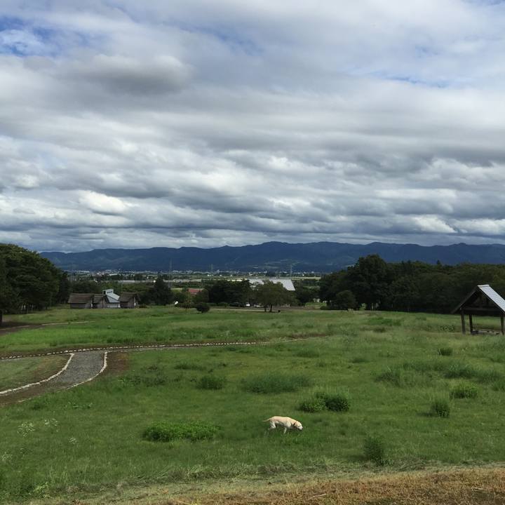 D7df855f edf7 4f36 8aaf b61557d82d62