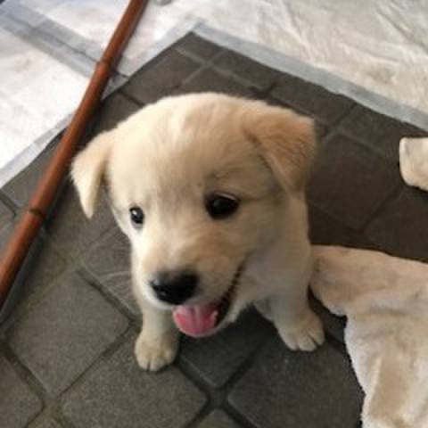 D7dfa6e0 3cf0 468e 9138 542da42c7f7a