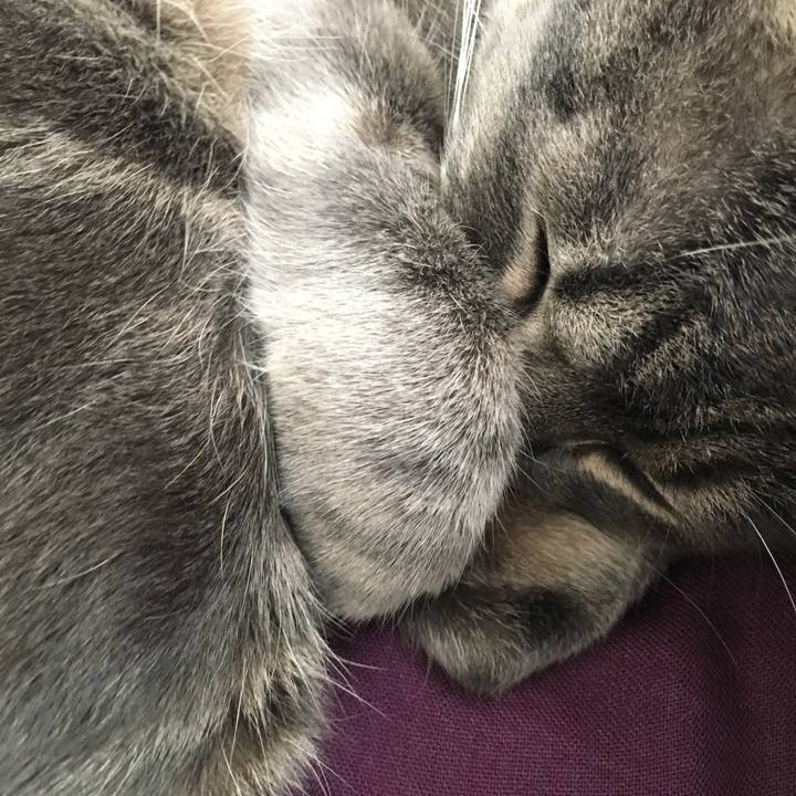 D7dfbca0 0286 4a8f 880d 4c03436a6873