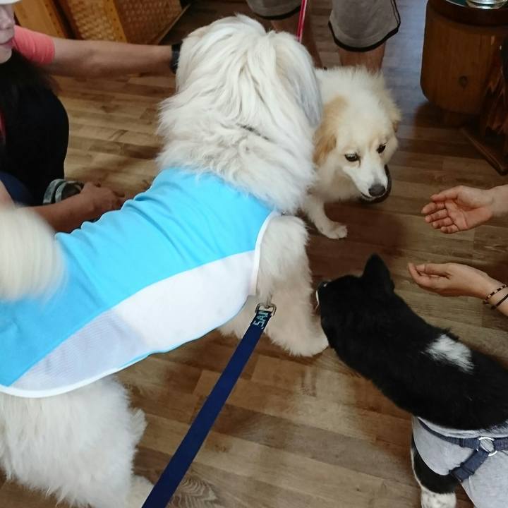 D7e08e3b b9f3 4cce 9c8f 0ded83ce2a5d