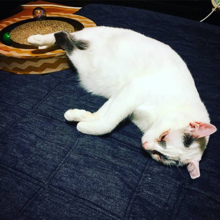 D7e0df39 b528 42de 8b5a 41da7a5759ca