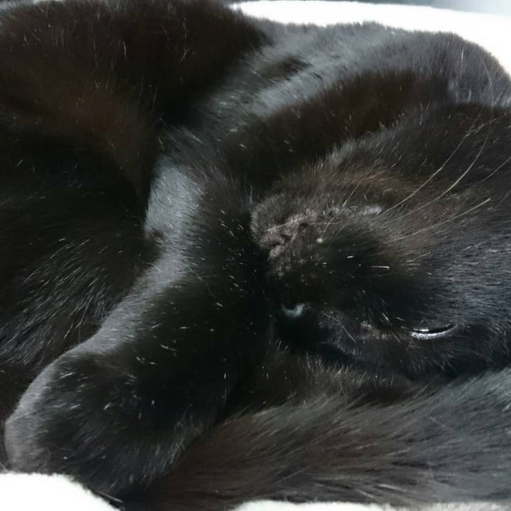 D7e10fee 6a5b 45d9 a281 4d4de6b3ae3d