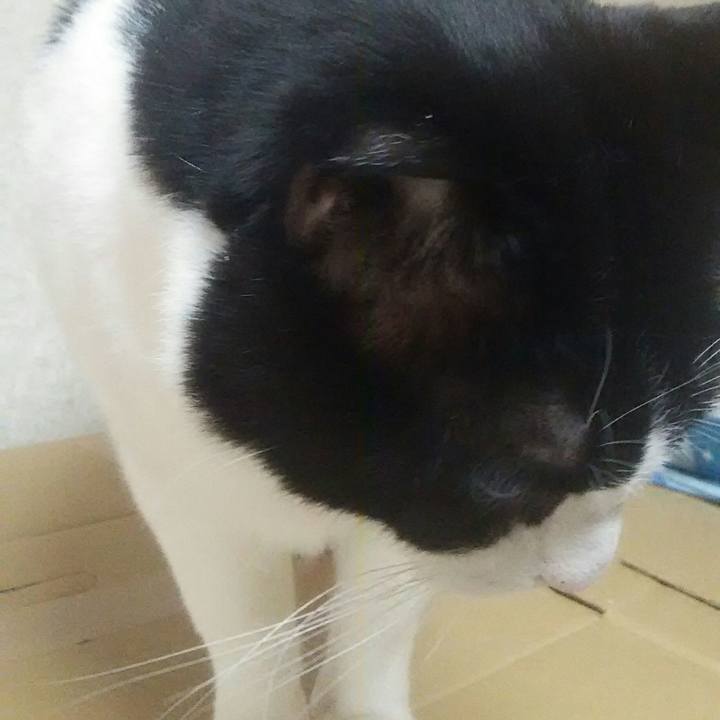 D7e14dec ce1b 4d2a 84da 097ec62bc7ad