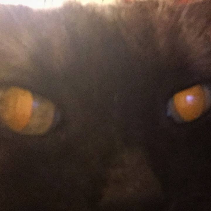 D7e19742 e705 4f9a 9f40 e32f9a8c984c