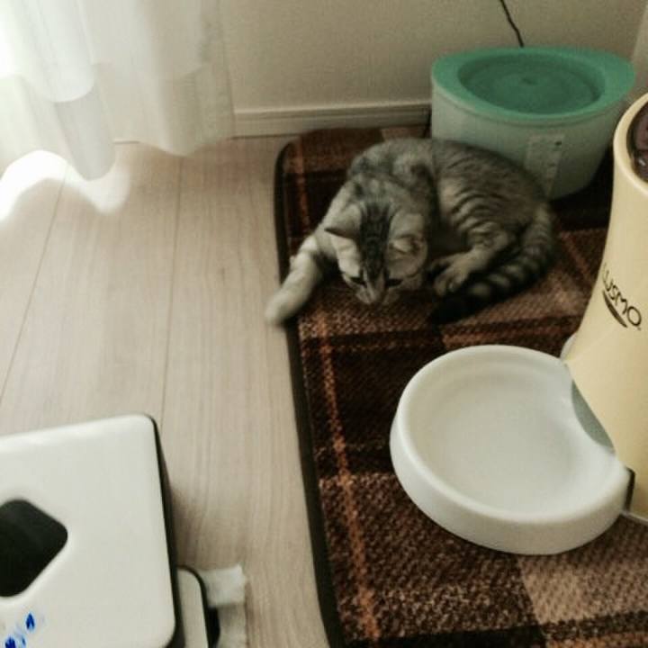 D7e199f6 e8b3 4fef 8f76 1669d6fbee4e